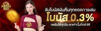 โบนัส 0.3 by macau88